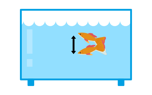 熱帯魚が上下に泳ぐのはなぜ？