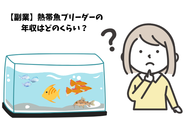 【副業】熱帯魚ブリーダーの年収はどのくらい？